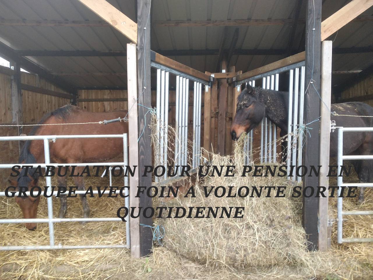 ECURIE DE GOUTTIERES 