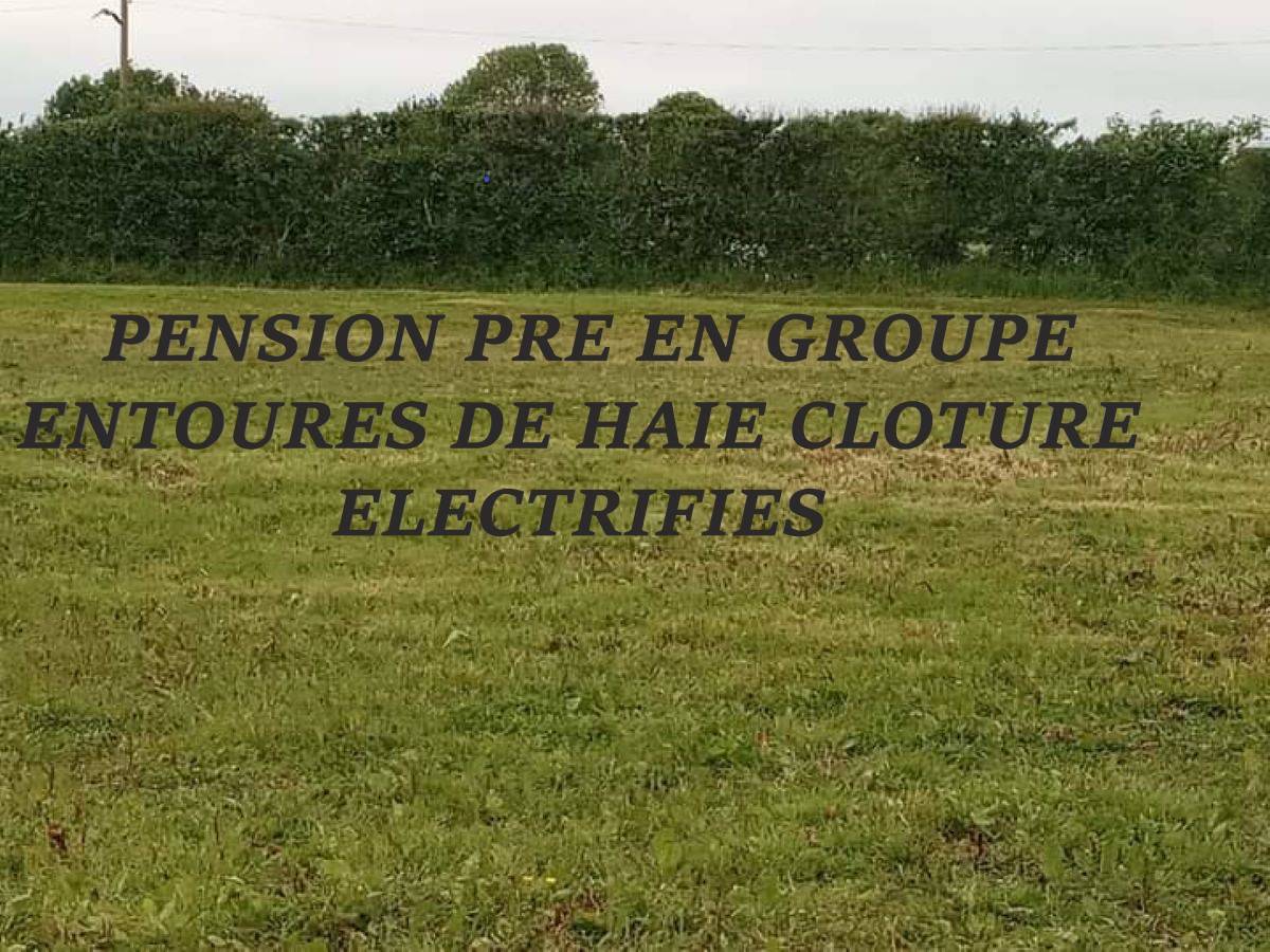 ECURIE DE GOUTTIERES 