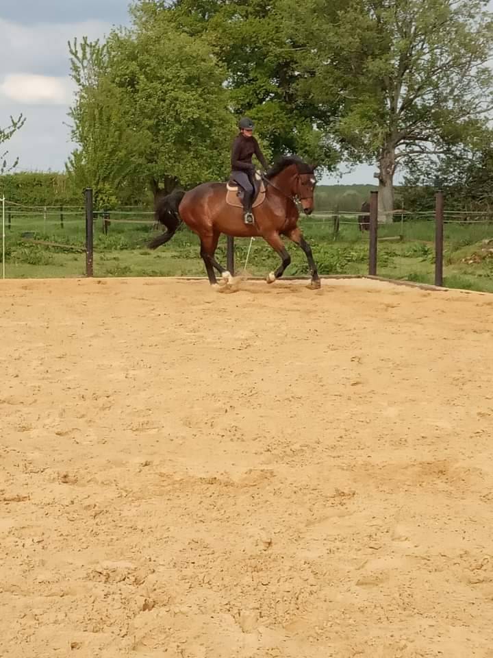 ECURIE DE GOUTTIERES 
