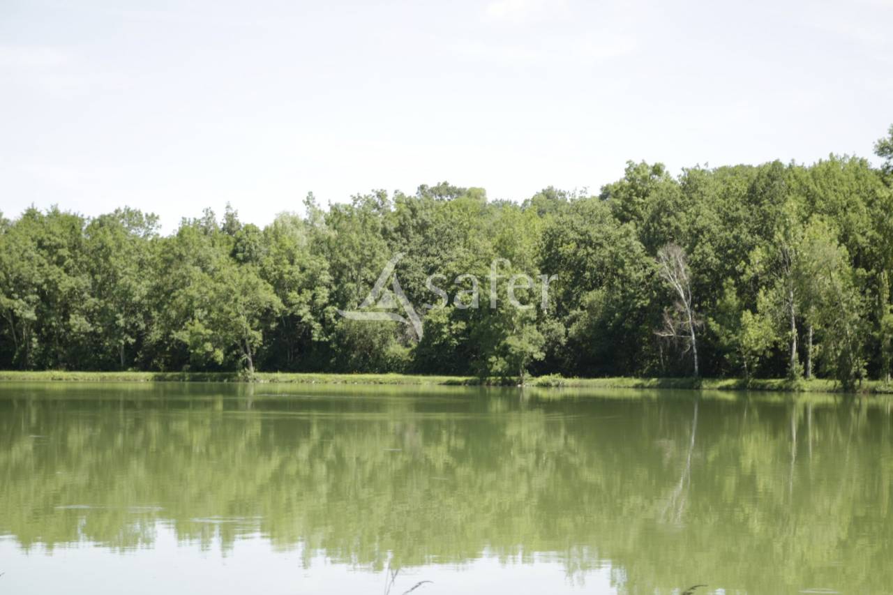 Proprietà rurale In vendita Haute-Garonne