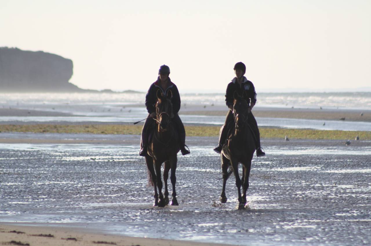 Stage equitazione perfezionamento Calvados