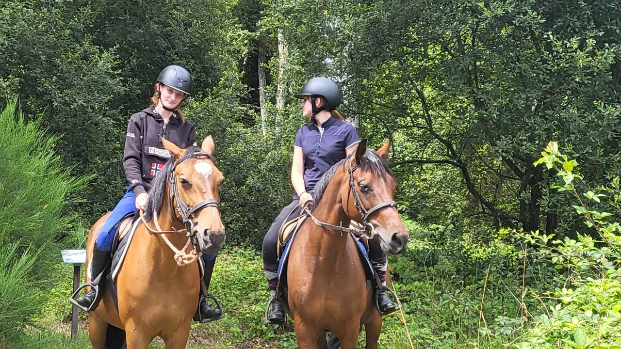 Stage equitazione perfezionamento Calvados