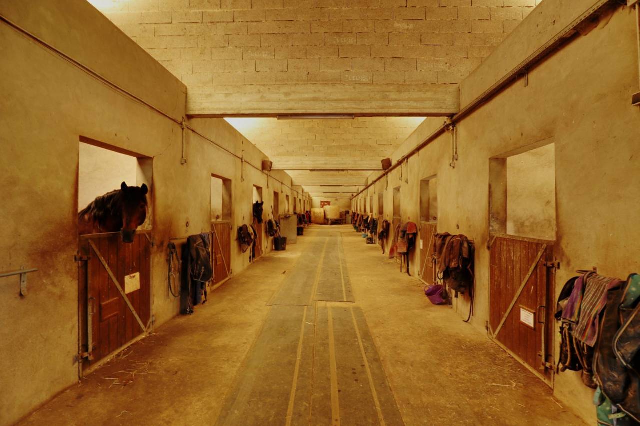 Scuderia per proprietari In vendita Seine-et-Marne