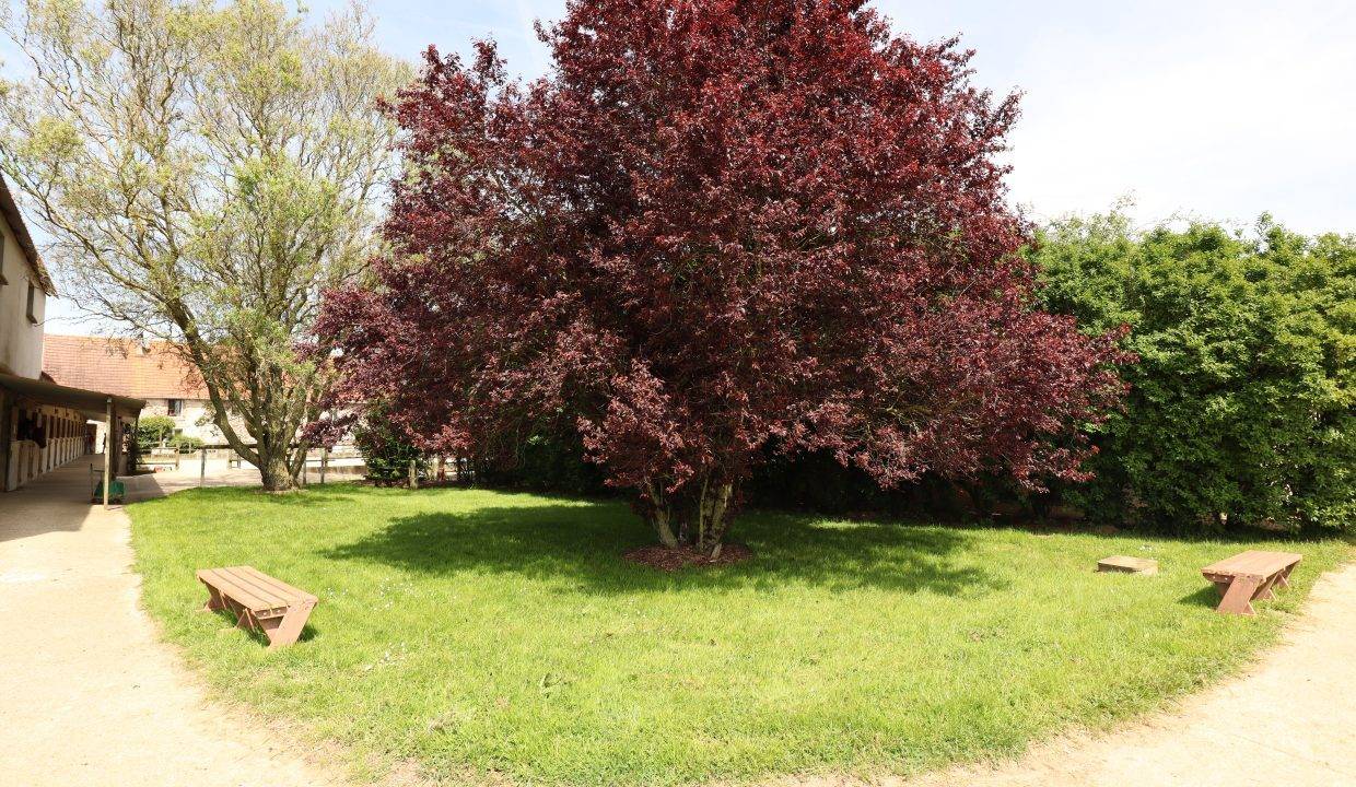 Scuderia per proprietari In vendita Seine-et-Marne