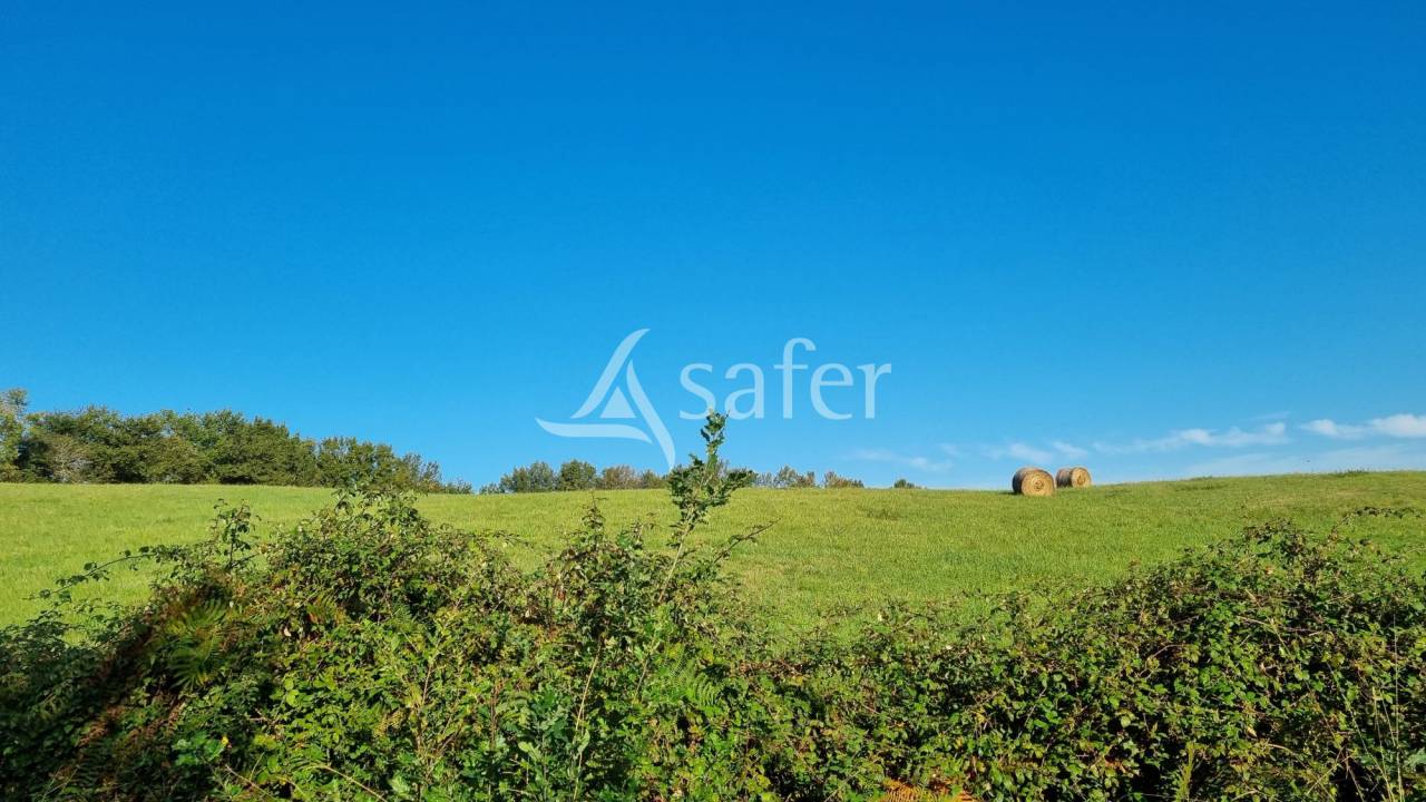 Azienda agricola In vendita Gers