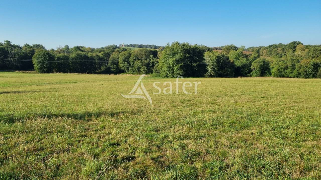 Azienda agricola In vendita Gers