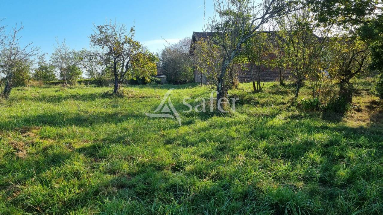 Azienda agricola In vendita Gers