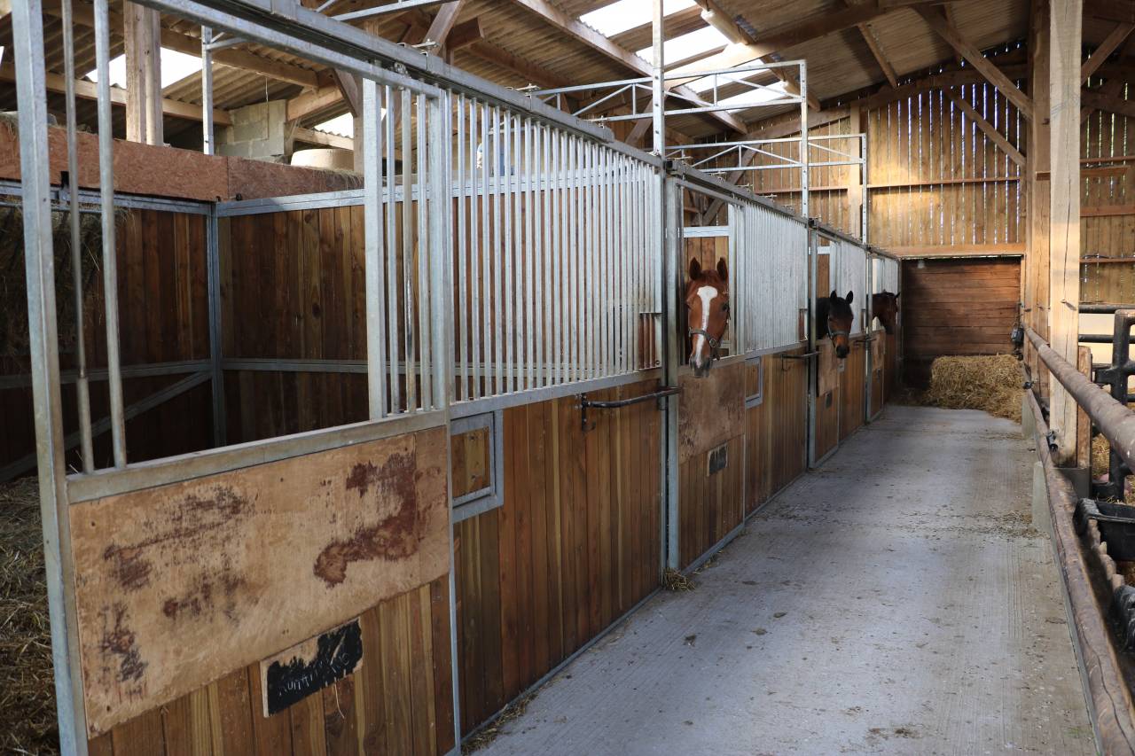 Centro di stagione cavallo In vendita Calvados
