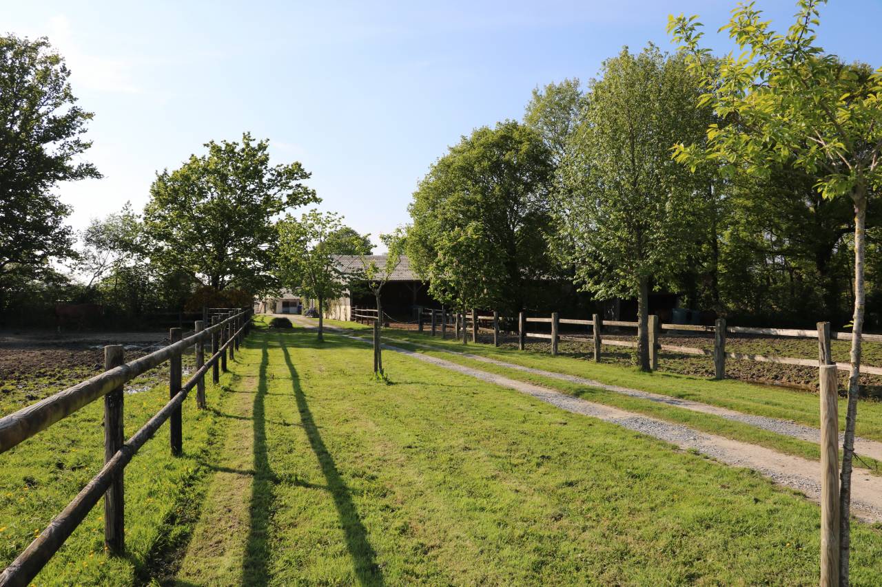 Centro di stagione cavallo In vendita Calvados