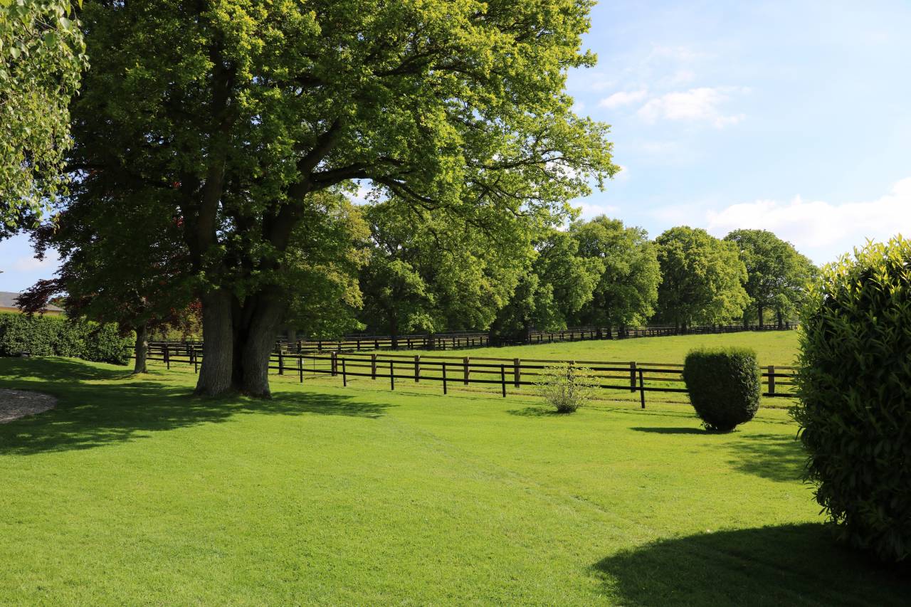 Centro di stagione cavallo In vendita Calvados