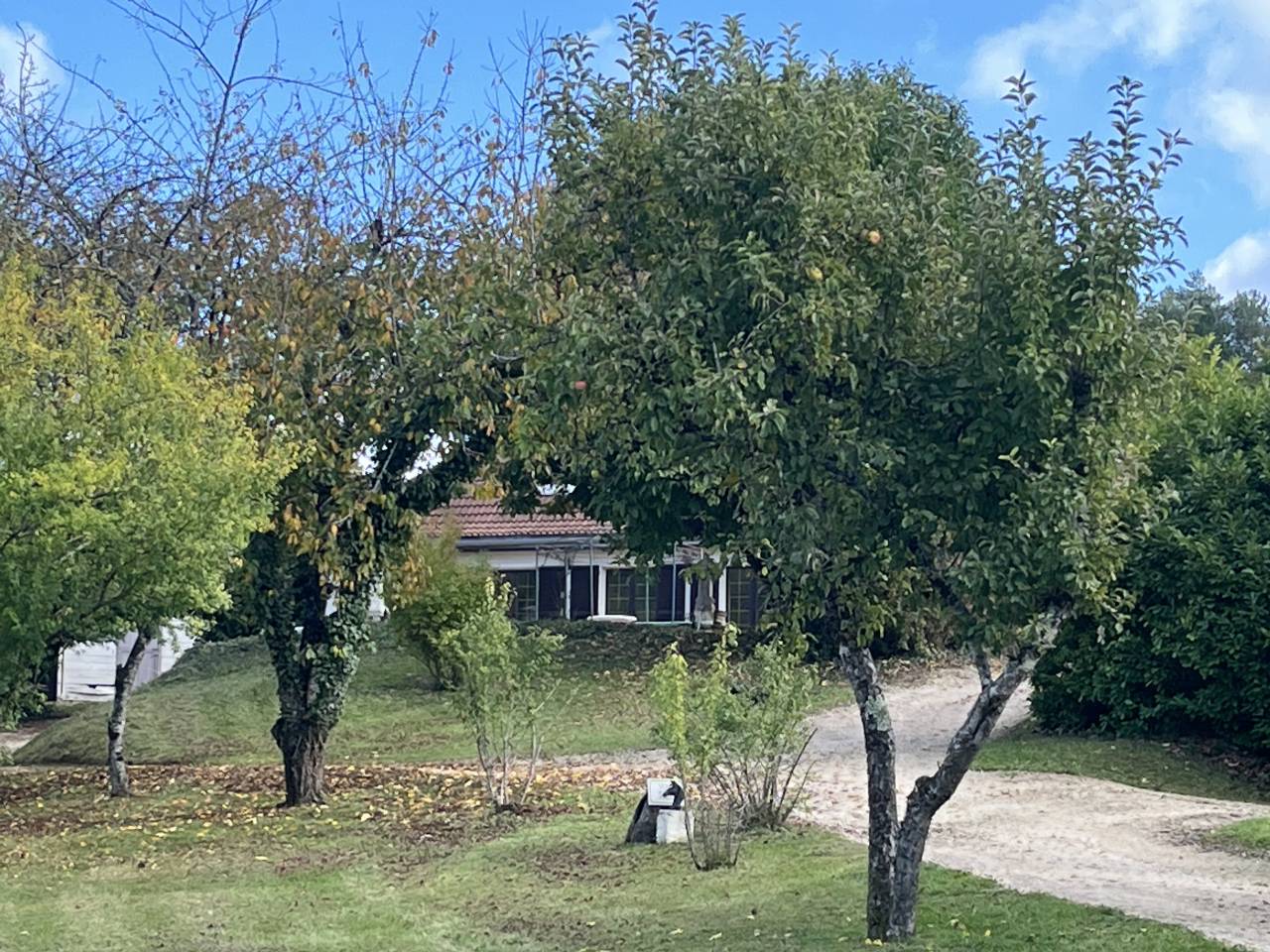 Proprietà equestre In vendita Yonne