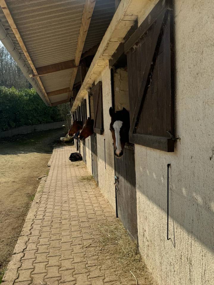 Propriet&agrave; equestre In vendita Yonne