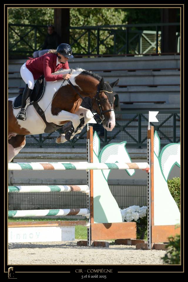 JERICHO DU LAGON - Cavallo da Sella 2019 ,  Envol van de Rib
