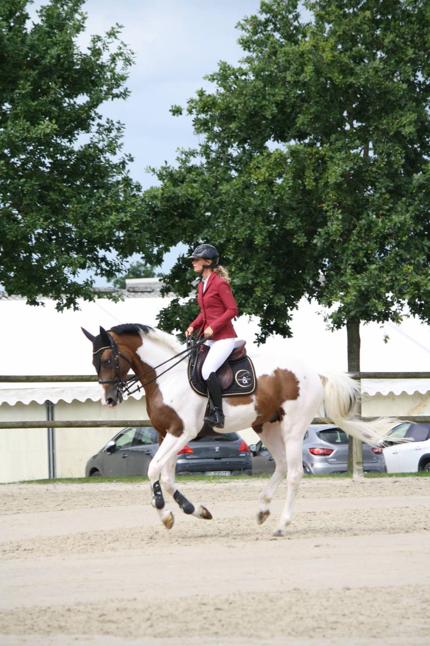 JERICHO DU LAGON - Cavallo da Sella 2019 ,  Envol van de Rib
