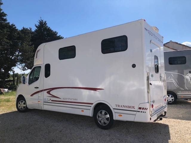 Van per Cavalli Trans Box NEW SVELTO 4 R 2024 Nuovo