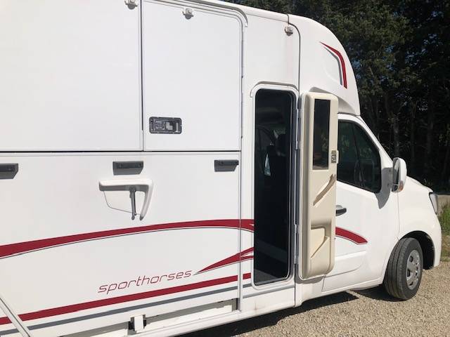 Van per Cavalli Trans Box NEW SVELTO 4 R 2024 Nuovo