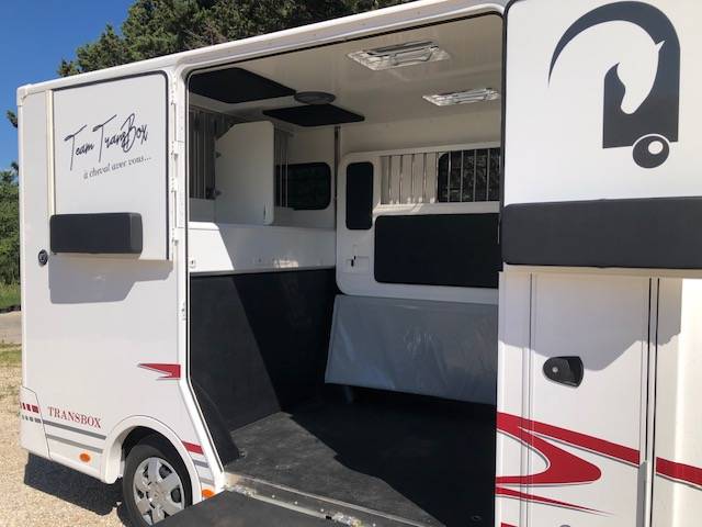 Van per Cavalli Trans Box NEW SVELTO 4 R 2024 Nuovo