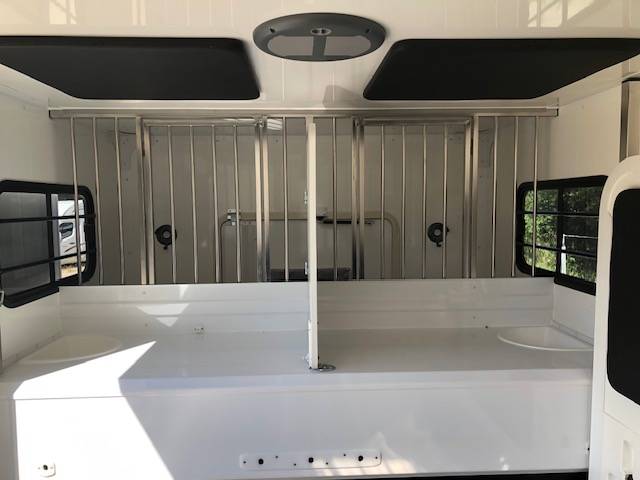 Van per Cavalli Trans Box NEW SVELTO 4 R 2024 Nuovo