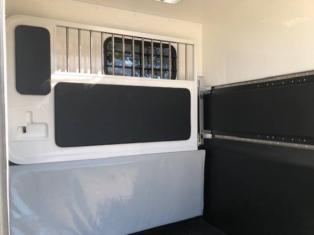 Van per Cavalli Trans Box NEW SVELTO 4 R 2024 Nuovo