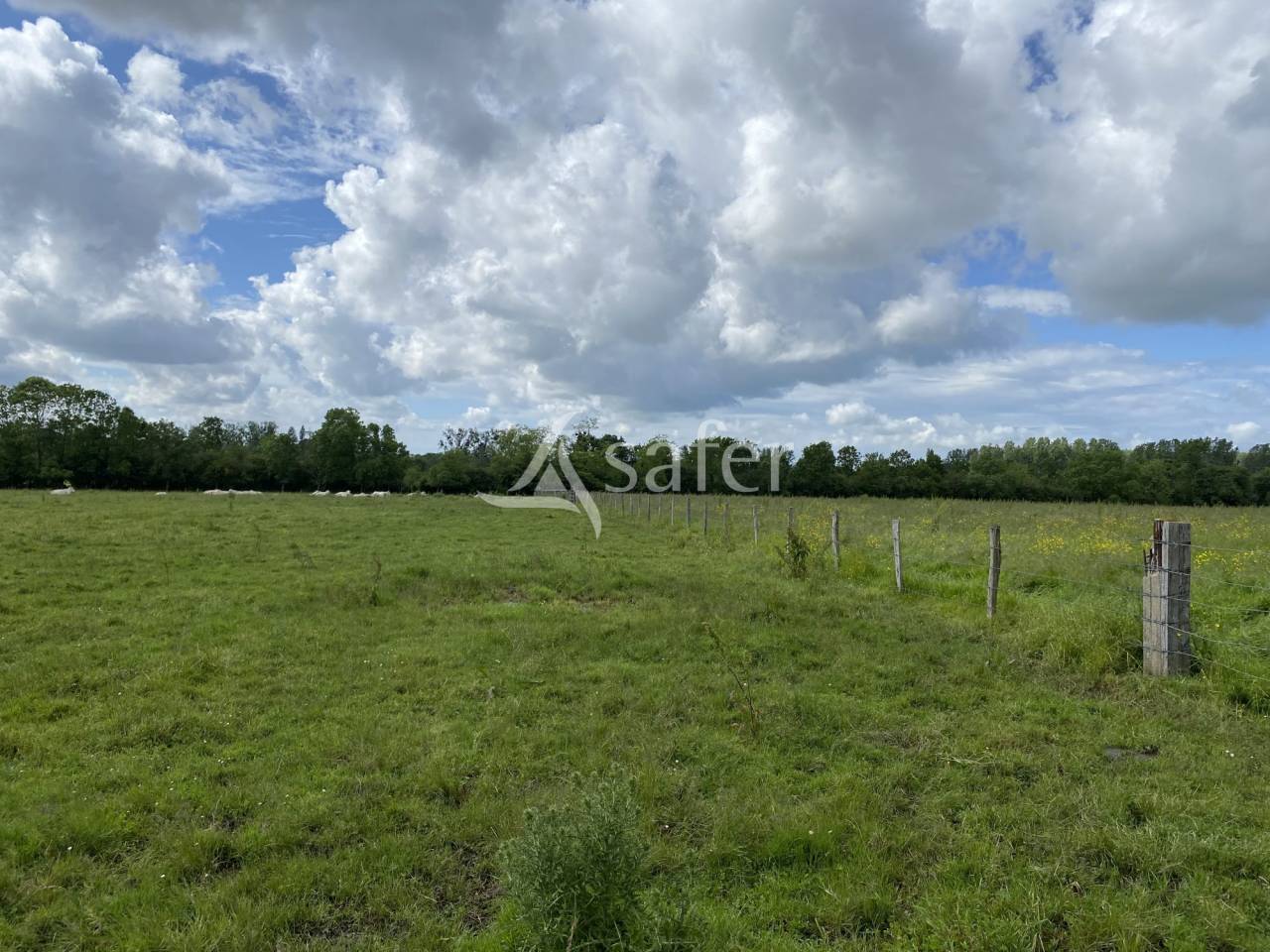 Proprietà equestre In vendita Calvados