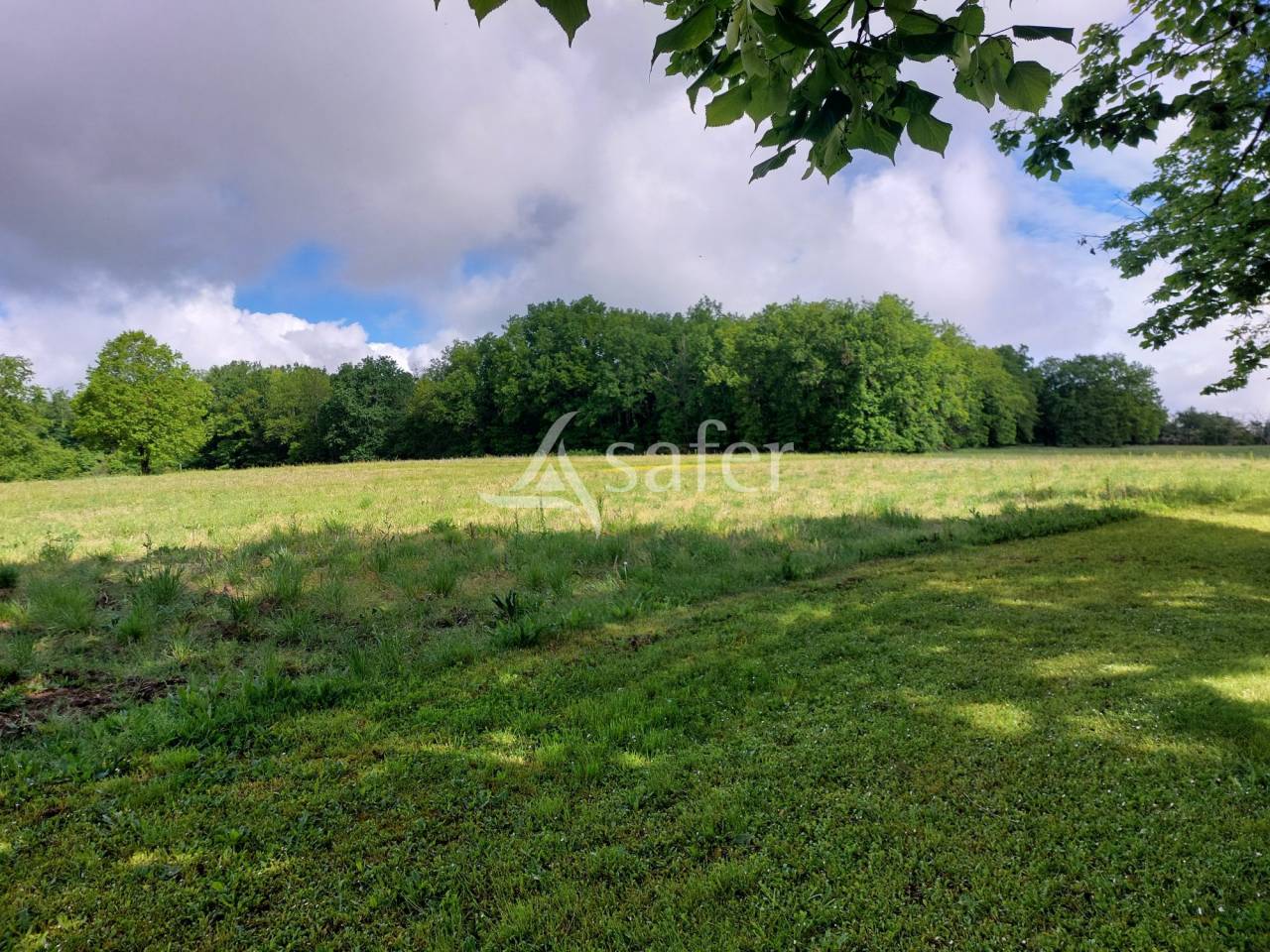 Azienda agricola In vendita Dordogne