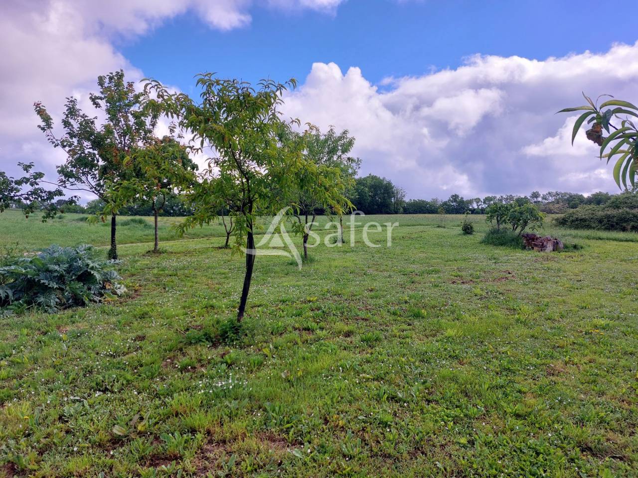 Azienda agricola In vendita Dordogne