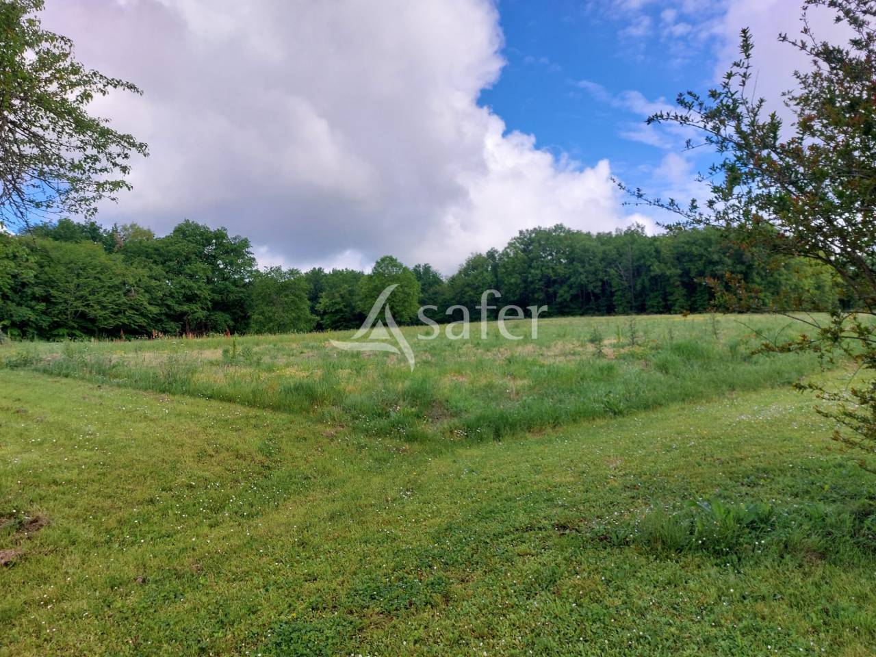 Azienda agricola In vendita Dordogne