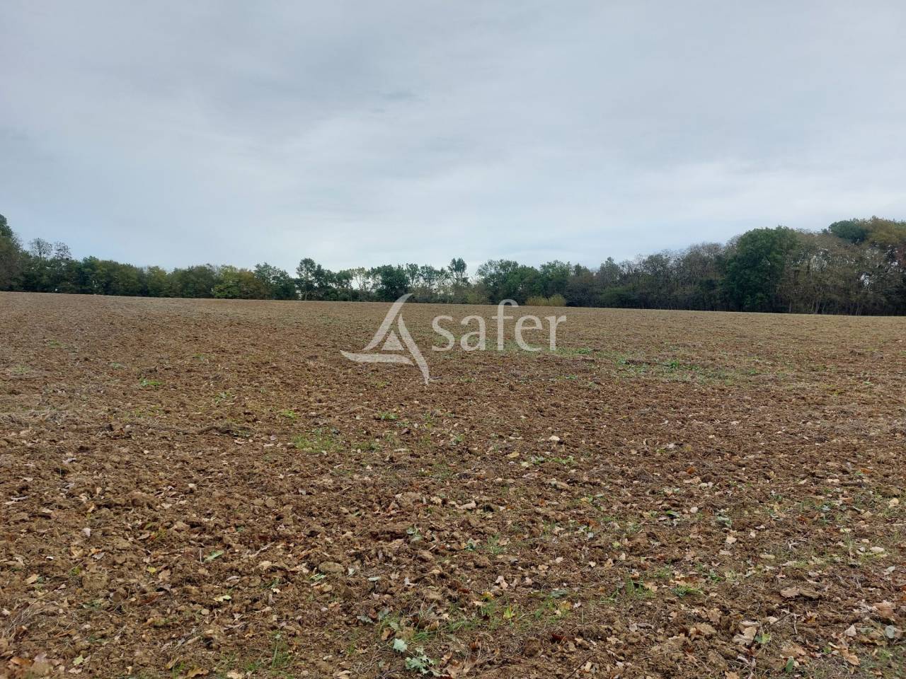 Azienda agricola In vendita Dordogne