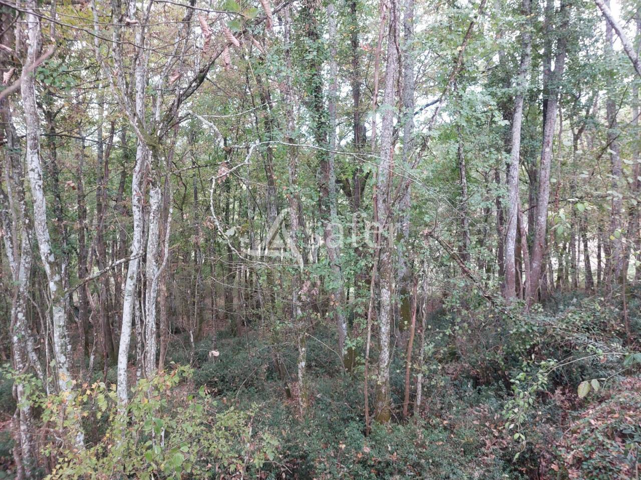 Azienda agricola In vendita Dordogne