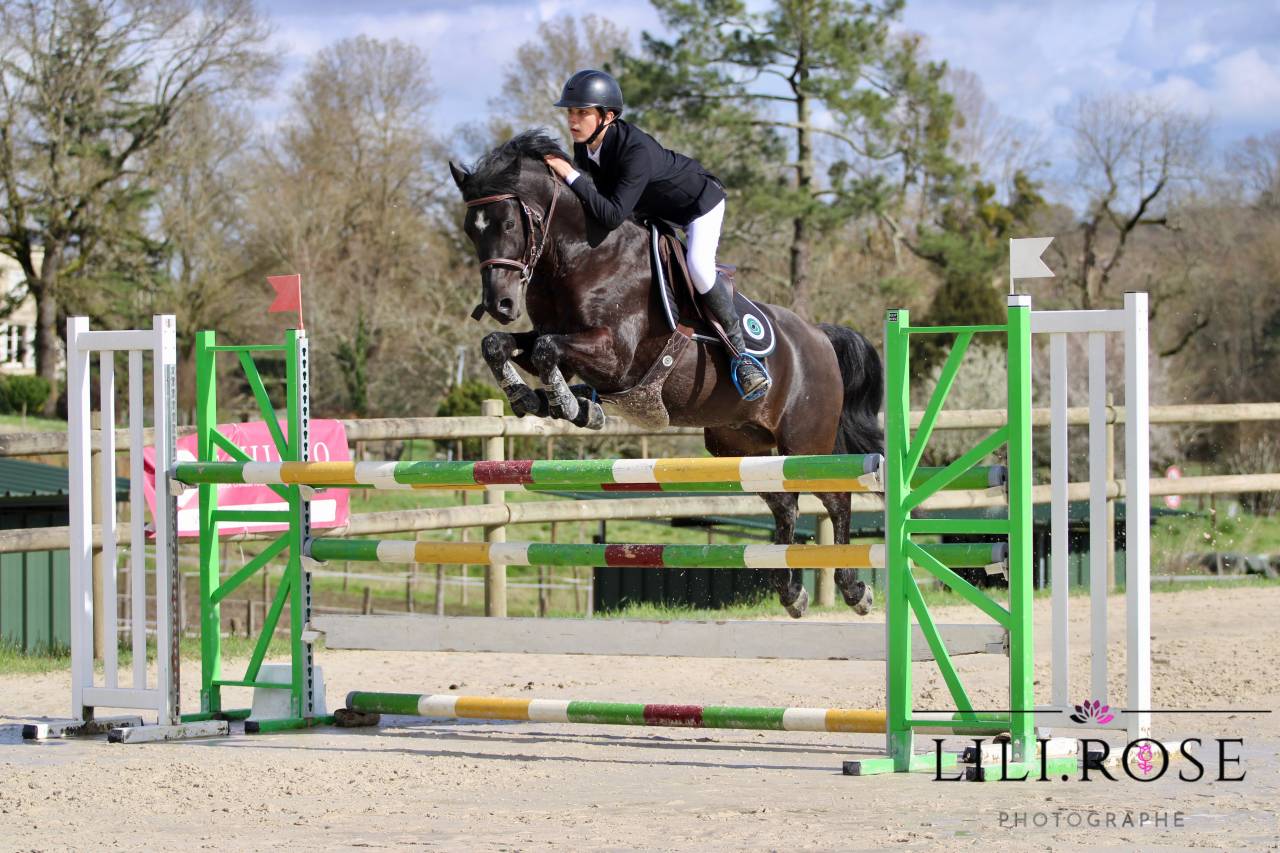 Valmont de Fougnard - PFS Pony Francese da Sella 2009 ,  KANTJE'S RONALDO(NLD) NF 1987