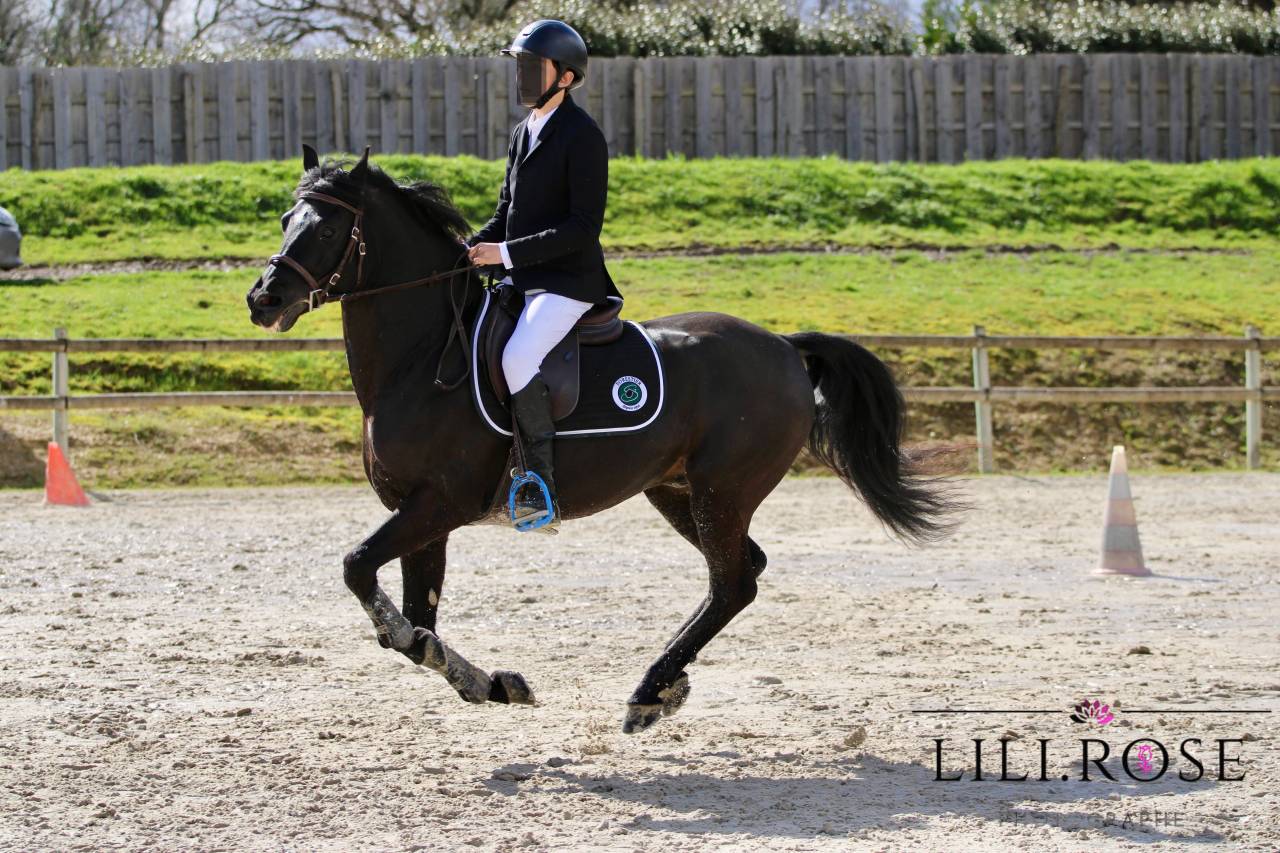 Valmont de Fougnard - PFS Pony Francese da Sella 2009 ,  KANTJE'S RONALDO(NLD) NF 1987