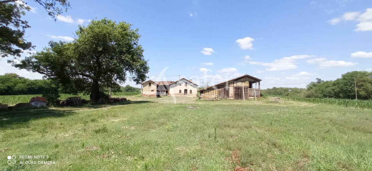 Azienda agricola In vendita Landes