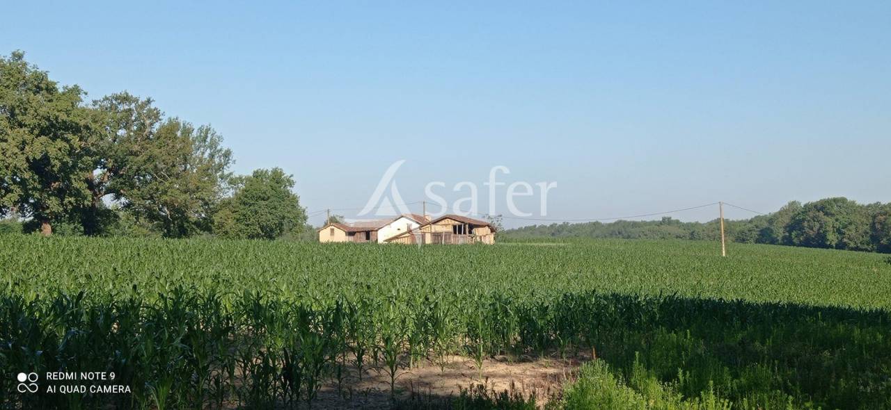Azienda agricola In vendita Landes