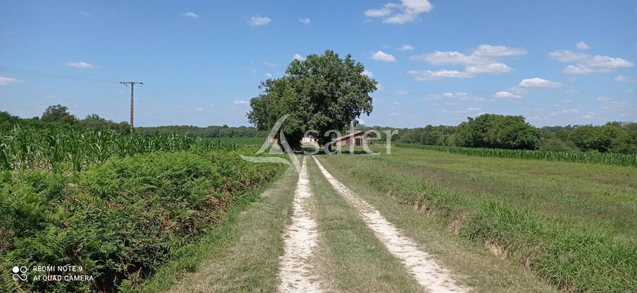 Azienda agricola In vendita Landes