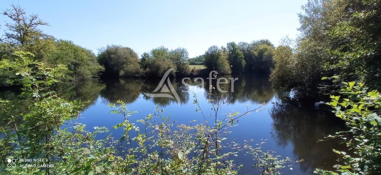 Azienda agricola In vendita Landes