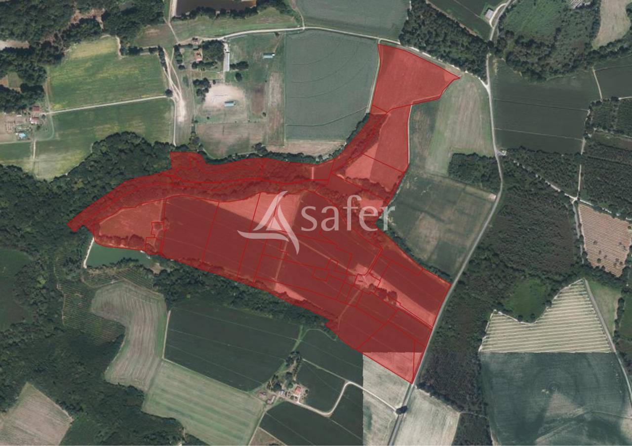 Azienda agricola In vendita Landes