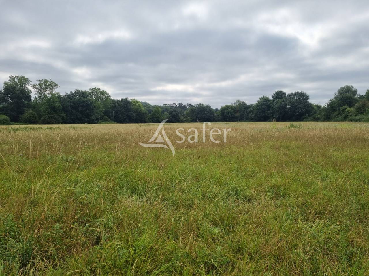 Azienda agricola In vendita Gers