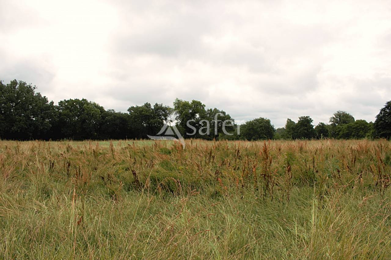 Azienda agricola In vendita Gers