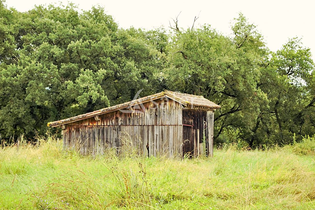 Azienda agricola In vendita Gers