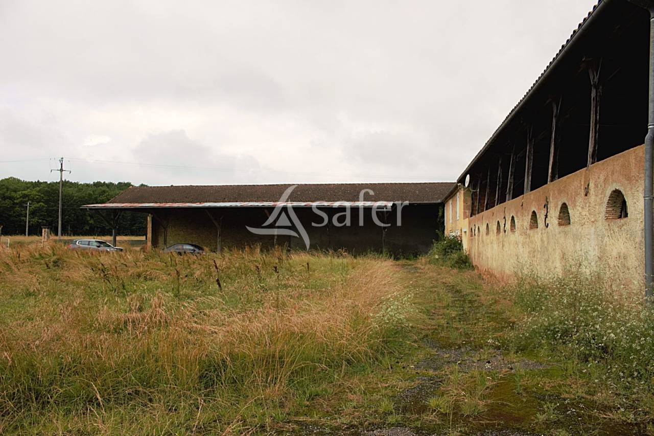 Azienda agricola In vendita Gers
