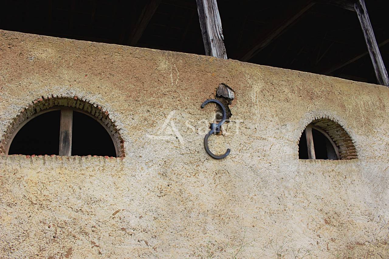 Azienda agricola In vendita Gers