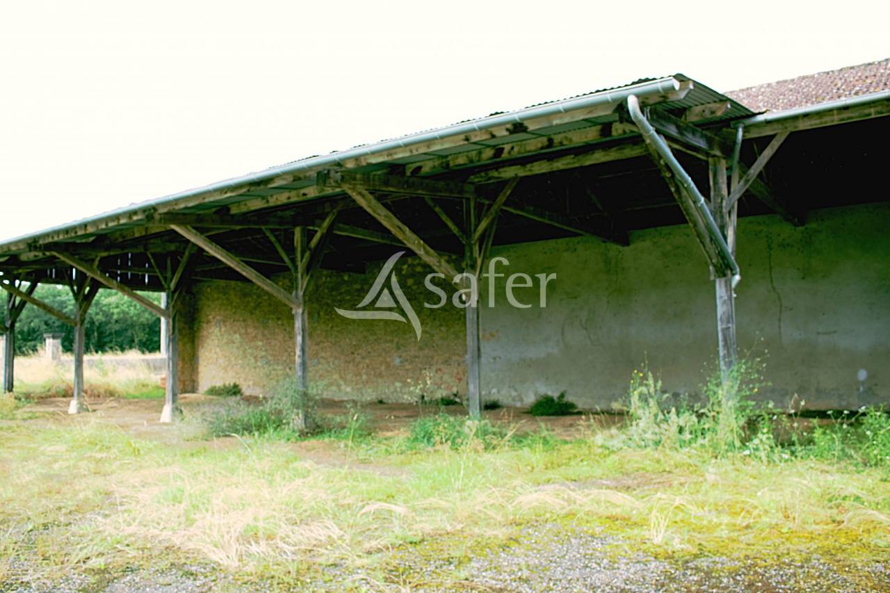 Azienda agricola In vendita Gers