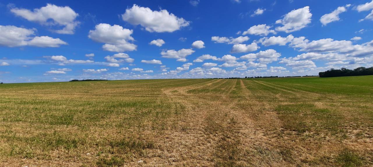 Proprietà equestre In vendita Charente-Maritime