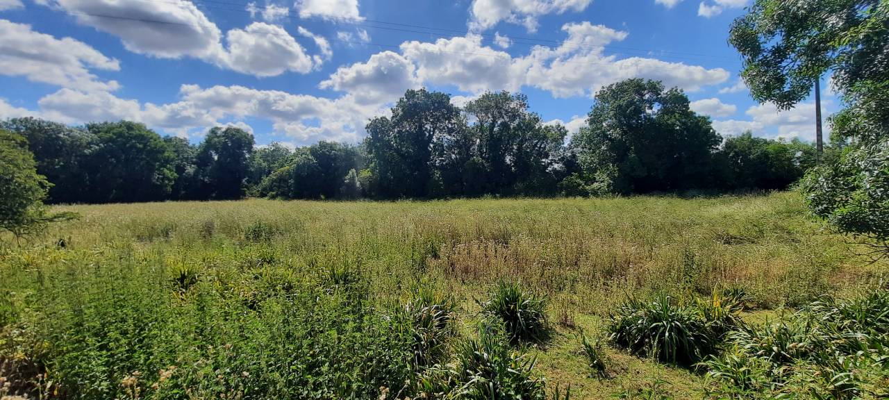 Proprietà equestre In vendita Charente-Maritime