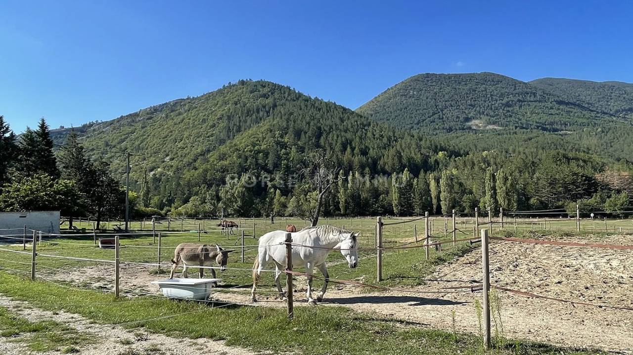 Proprietà equestre In vendita Vaucluse