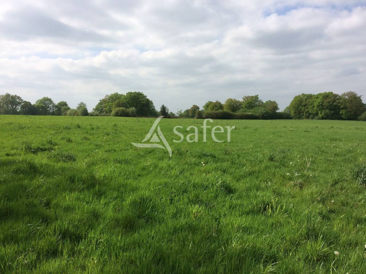 Azienda agricola In vendita Haute-Vienne