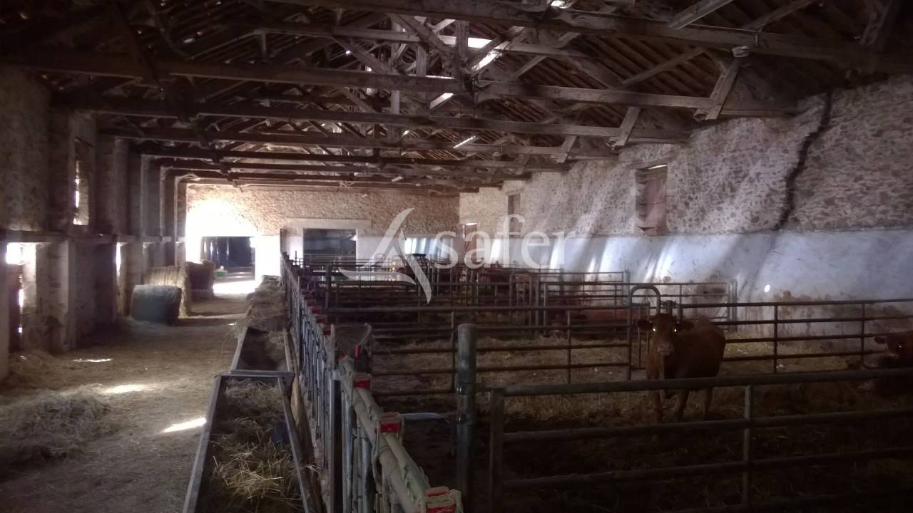 Azienda agricola In vendita Haute-Vienne