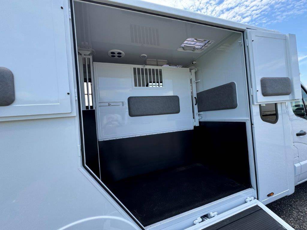 Van per Cavalli TBST RENAULT MASTER 2024 Nuovo