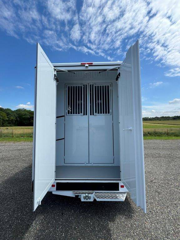 Van per Cavalli TBST RENAULT MASTER 2024 Nuovo