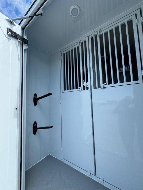 Van per Cavalli TBST RENAULT MASTER 2024 Nuovo